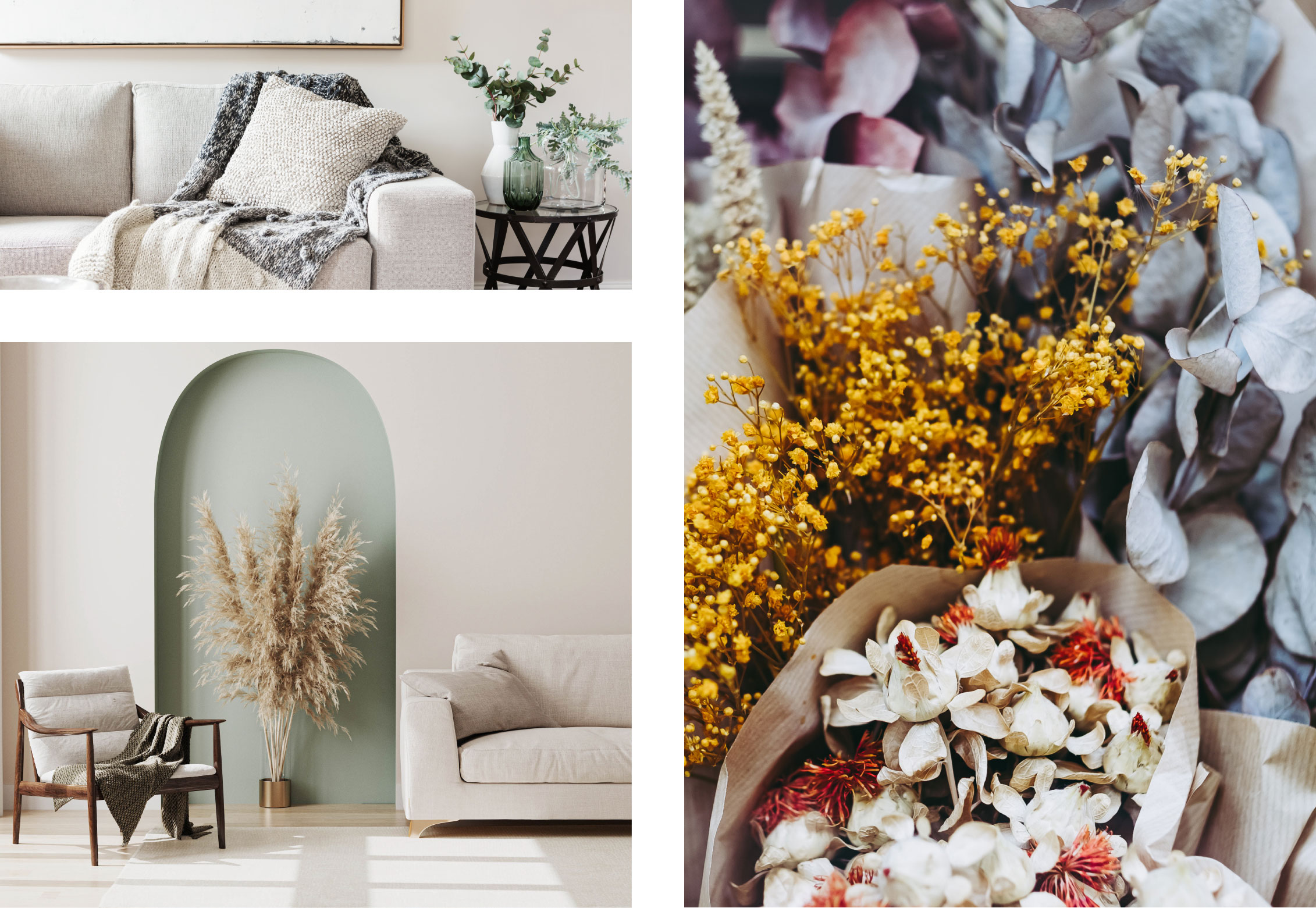 Dekotrend Trockenblumen