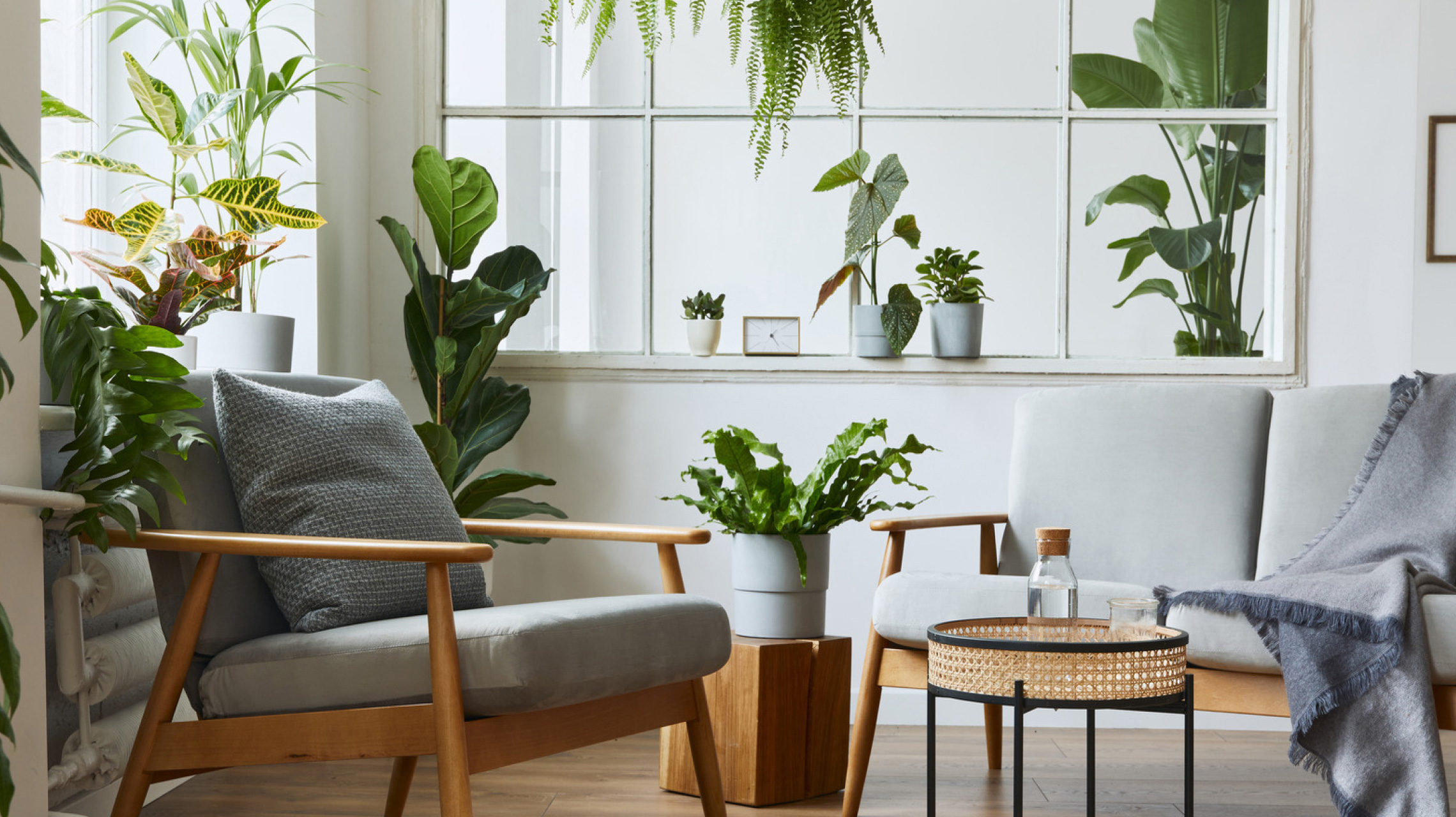 Wohnzimmer mit Zimmerpflanzen für Stelton Isolierkanne für Greentend SCHÖNER-WOHNEN-Farbe 