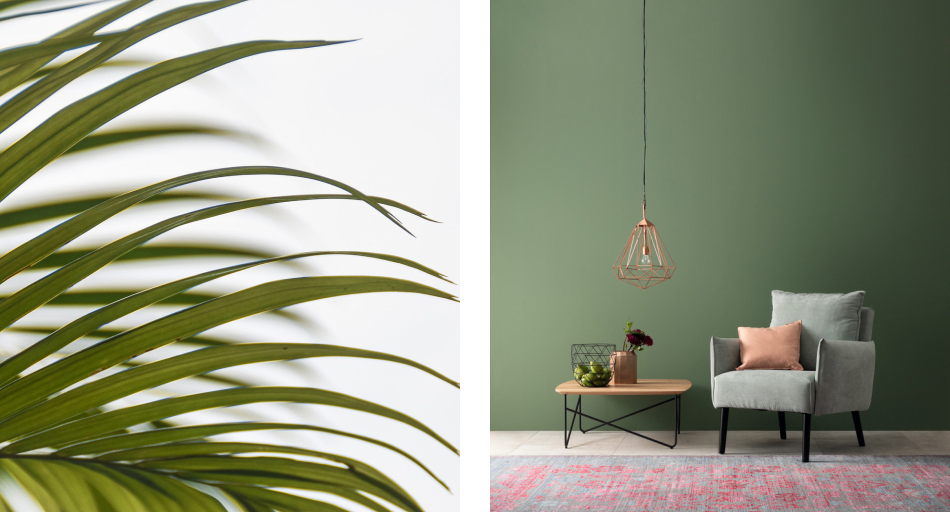 Goldfruchtpalme für Greentend SCHÖNER-WOHNEN-Farbe 