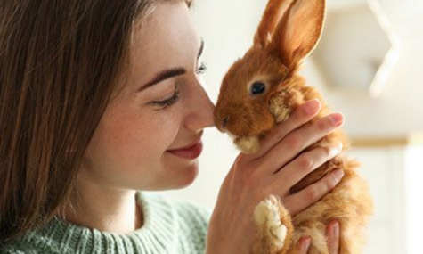 Hase und Mädchen