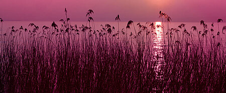 Lila Himmel und Wasser