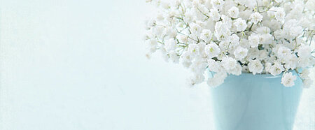 Blumen in Vase