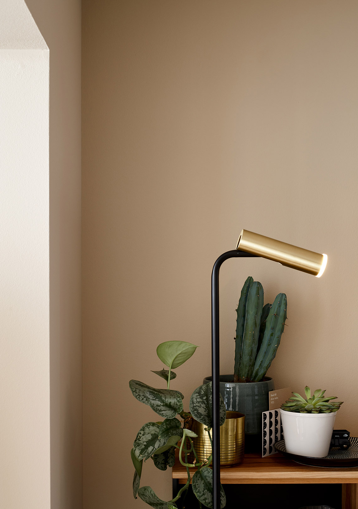 Wohnzimmer mit Stehlampe, Trendfarbe Finca Wohnzimmer mit Stehlampe, Trendfarbe Finca