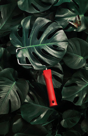Jungle